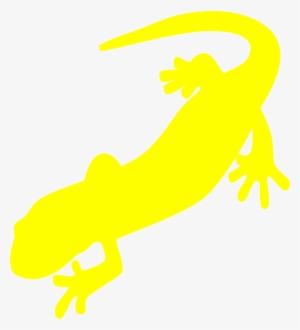 Newt Clipart Amphibian - Salamander