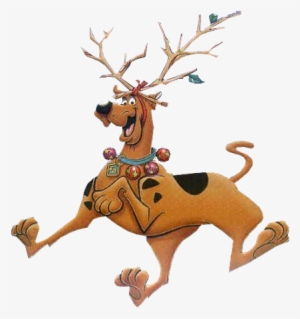Scooby Doo Christmas Wallpaper - Face Scooby Doo Cartoon