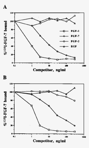 Competition Assay Comparing Human And Newt Kgfrs With - Diagram