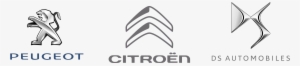 Logo Cars Marque - Peugeot Citroen Ds Logo