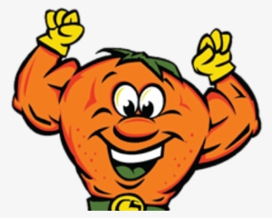 Citrusolution Guy - Citrus Solutions