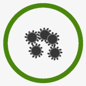 Plant Disease Icon Png