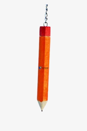 Paradise Toys, Hanging Pencil, Large, For Pet Birds - Chain