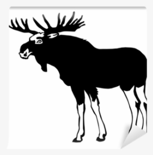 Vector