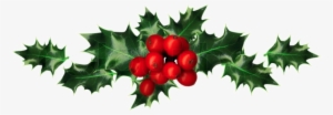 Holly - Clipping Path