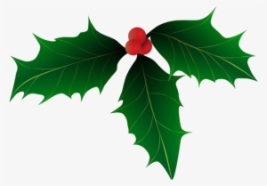 Holly-521x370 - Christmas Holly Vector Art Free Transparent PNG ...