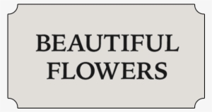 Glen Head, Ny Florist - Beautiful Flowers New York.com