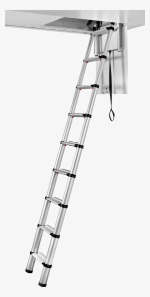Loft Line - Ladders