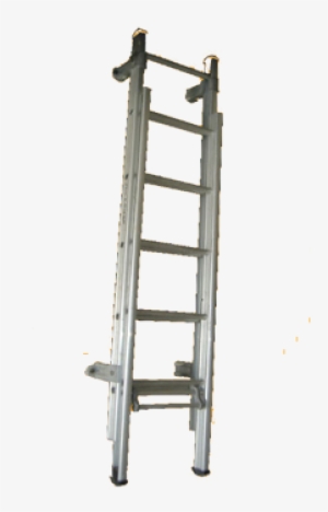 laddermenn ladders - cat