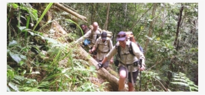 Hikers On The Black Cat Track In Papua New Guinea - Old-growth Forest
