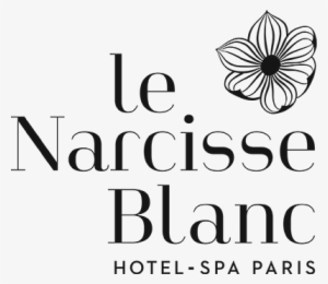 Air France And Delta Air Lines Are The Official Airlines - Narcisse Blanc Hotel Logo