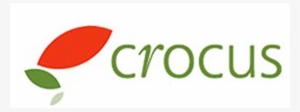 Crocus - Crocus Co Uk