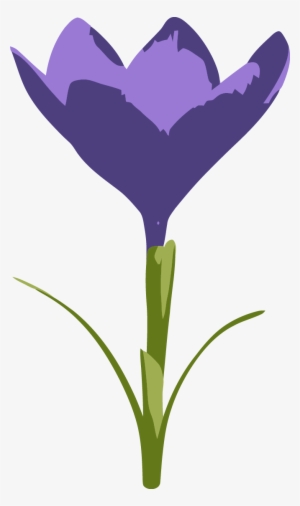 Purple Crocus Flower Png Clip Art - Tulip