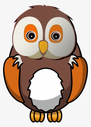 bird, owl, animal, cute, nature, sitting, waiting - owl clipart png