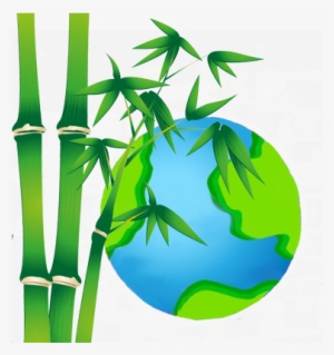 Bamboo