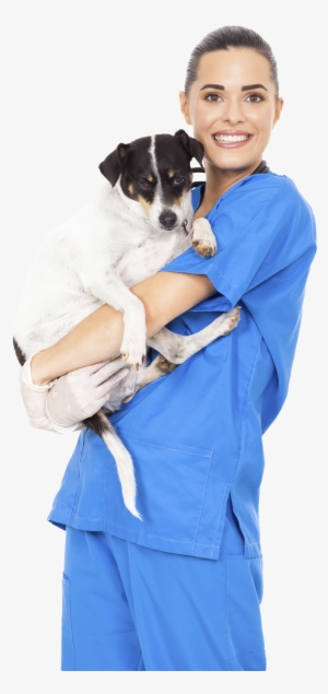 Read More - Veterinary And Dog Png