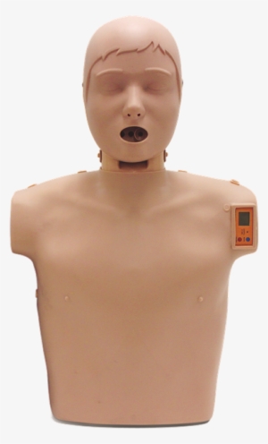 Sunny Cpr Manikin - Flashpoint Medical System Limited