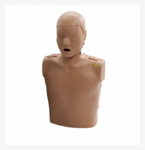 Prestan Professional Cpr Aed Training Manikin Collection(pp