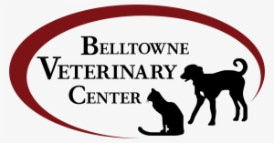 Belltowne Veterinary - Year Of The Dog - Traits Everyday Pillow
