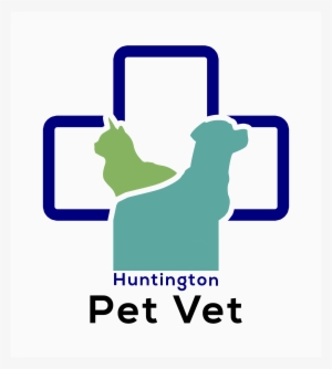 Huntington Beach Pet Vet - Vet
