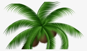 Coconut Clipart Coconet - Coconut Png