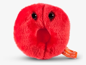 Red Blood Cell - Giant Red Blood Cell