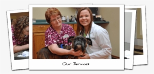 Veterinary Services Streator Illinois - Illinois