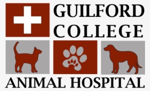 Veterinarian Colleges