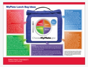 laminated poster: choose myplate vertical poster :