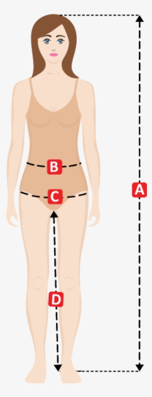 Women Pant / Chap Size Guide - Illustration