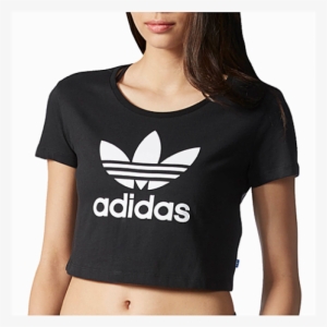 melon accurately space Adidas Originals Trefoil Slim Crop T-shirt - Adidas Crop Top T Shirt  Transparent PNG - 600x600 - Free Download on NicePNG