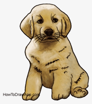 How To Draw A Cute Puppy Dog - Dog