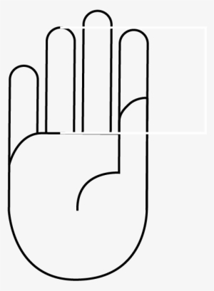Ring Finger Length - Drawing