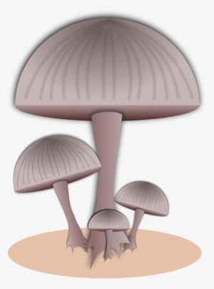 Toadstool - Toad - Mushroom