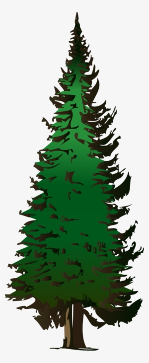 Web Design - Fir Tree Clip Art