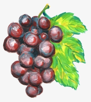 Grapes Drawing Watercolor - Watercolor Grapes Png