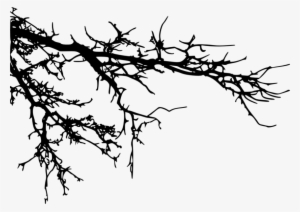 Free Png Tree Branches Silhouette Png Images Transparent - Tree Branches Silhouette Png