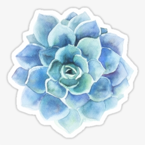 Watercolors Blue Tone Succulent Illustration • Also - Blue Flower Watercolor Png