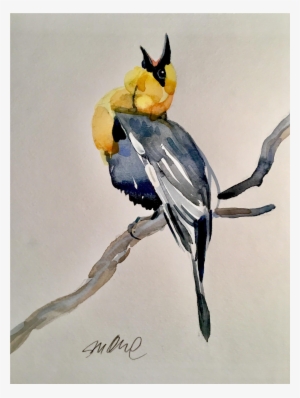 Clipart Freeuse Library Blackbird Drawing Watercolor - Macaw