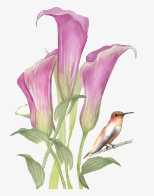 This Graphics Is Hand Drawn Flowers And Birds Pattern - Watercolor Painting