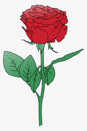 Single Red Rose Vector - Rose Flower Vector Png