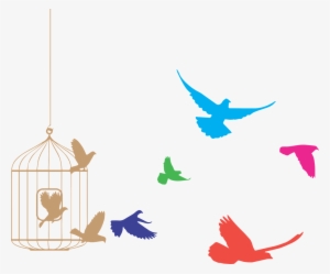 Birds Flying From Cage Clipart - Birds Flying Out Of Cage