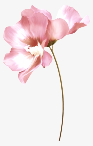 Álbum De Imágenes Para La Inspiración - Two Pinks Flowers On Watercolors Laptop Sleeve - 13"