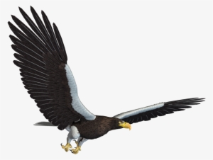 Eagle Png - Flying Eagle Jpg