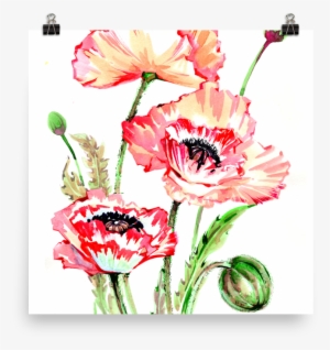 Bright And Floral Poppy Watercolour Matte Poster - Watercolor Painting