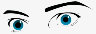 Eyes Blue Eyes Eyebrows Brows Seeing Obser - Ojos Reales En Png