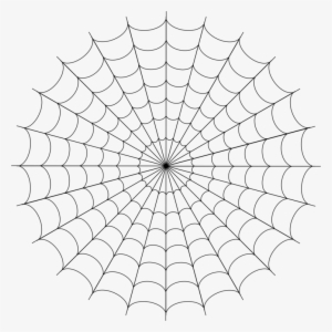 Spider-man Spider Web Drawing Tangle Web Spider - Png Spider Web