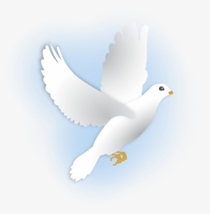 Dove Png - Dove Flying