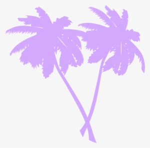 Colorful Clipart Palm Tree - White Palm Tree Clipart