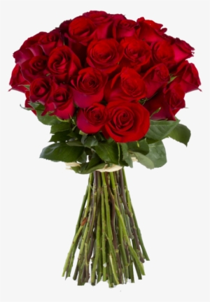 Flower Bokeh Png Images Siewalls Co - Red Rose Bouquet For Birthday